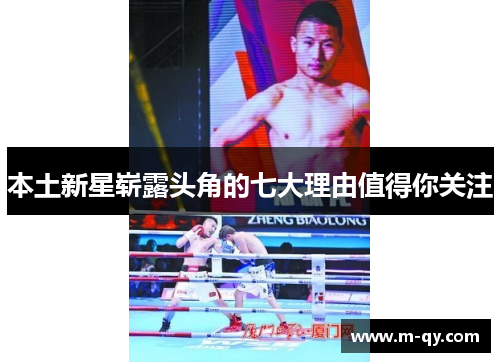 本土新星崭露头角的七大理由值得你关注