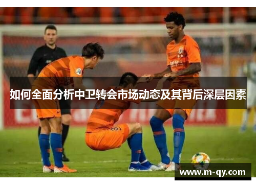 如何全面分析中卫转会市场动态及其背后深层因素