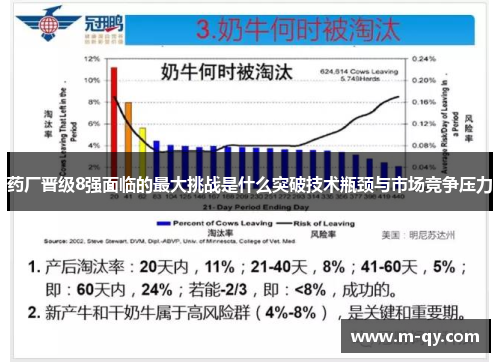 药厂晋级8强面临的最大挑战是什么突破技术瓶颈与市场竞争压力