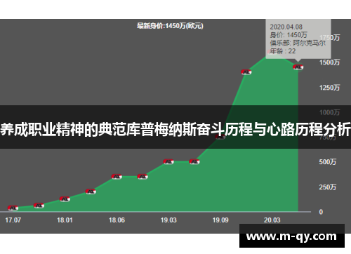 养成职业精神的典范库普梅纳斯奋斗历程与心路历程分析
