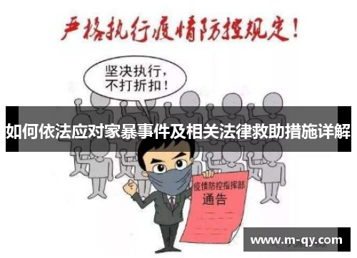 如何依法应对家暴事件及相关法律救助措施详解