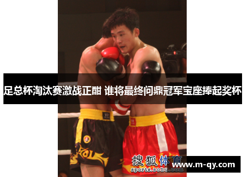 足总杯淘汰赛激战正酣 谁将最终问鼎冠军宝座捧起奖杯