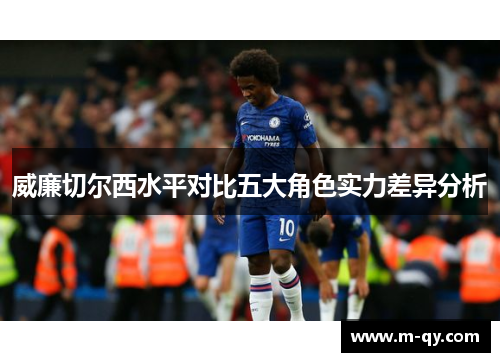 威廉切尔西水平对比五大角色实力差异分析