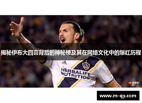 揭秘伊布大四喜背后的神秘梗及其在网络文化中的爆红历程